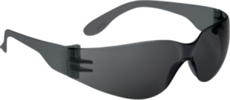 Deltaplus Brava2 Smoke Veiligheidsbril (10 Stuks)