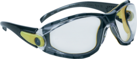 Deltaplus Pacaya Clear Veiligheidsbril (5 Stuks)
